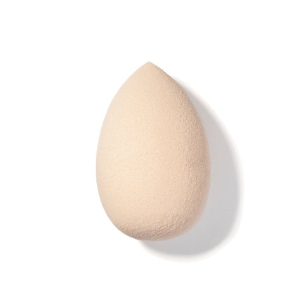 Others Sponge