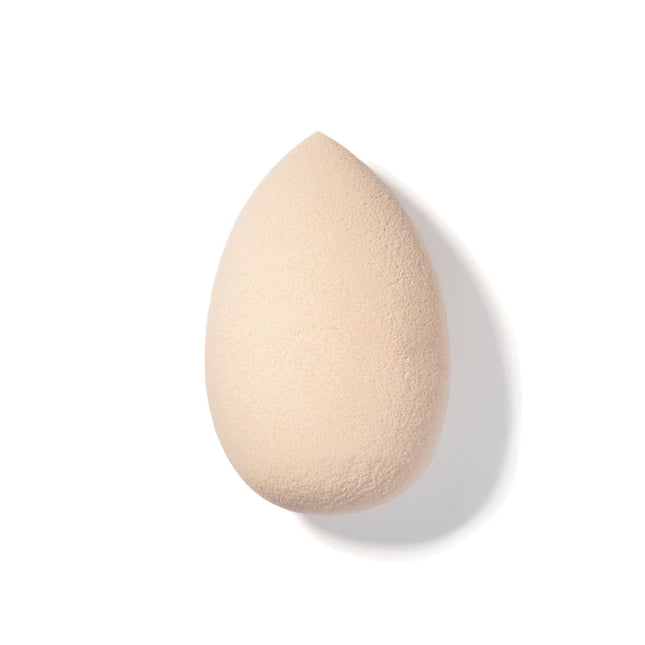 Others Sponge