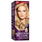 309/1 - Special Light Ash Blonde